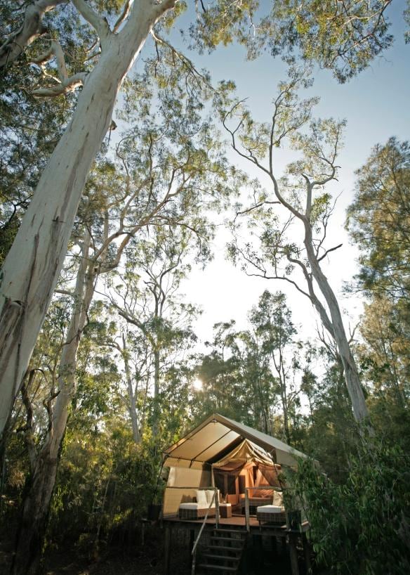 Paperbark Camp, Jervis Bay, NSW © Hutchings Camps