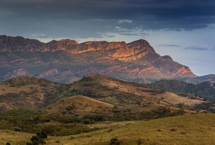 The rugged mountains and grassy landscape surrounding Arkaba Private Wildlife Conservancy, Flinders Ranges, South Australia © Richard I'Anson