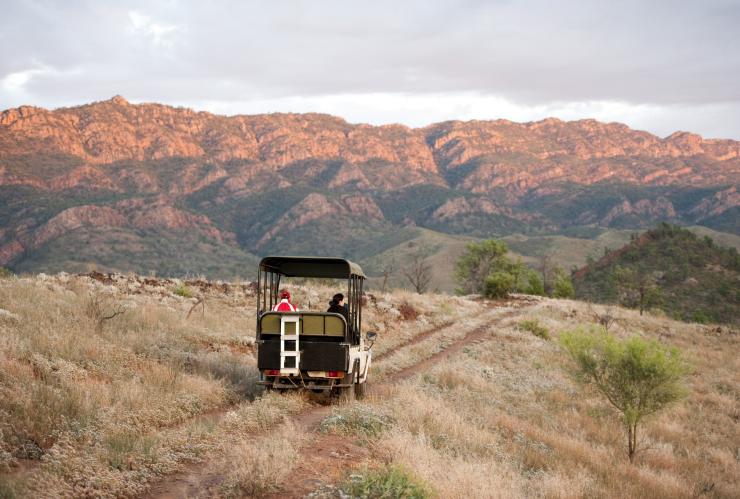 Two people driving a buggy through the grassy landscape with mountains ahead of them at Arkaba Conservancy, Flinders Ranges, South Australia © South Australian Tourism Commission/Cameron Bloom
