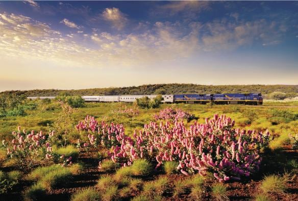 The Indian Pacific, Adelaide, South Australia © Journey Beyond Rail
