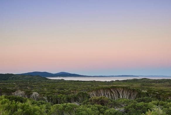 Parry Beach, Denmark, WA © Francis Andrijich