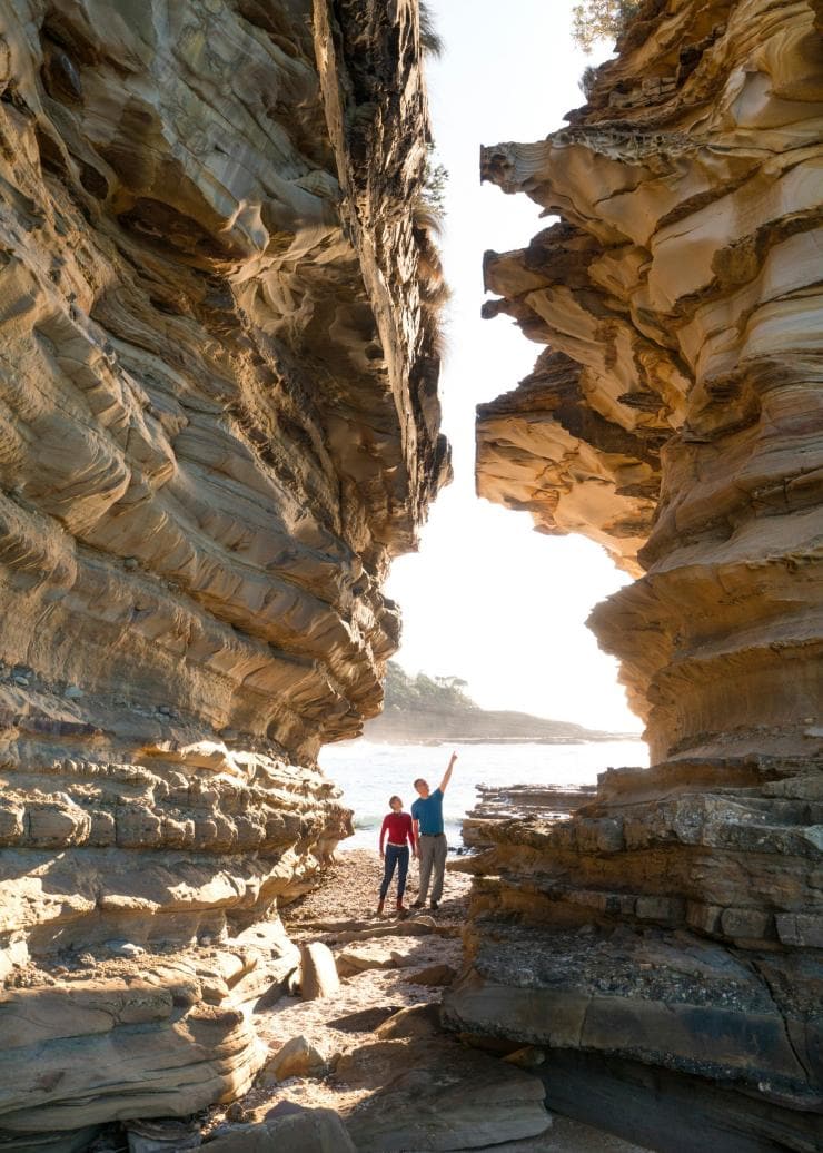 Wasp Head, Murramarang National Park, NSW © Destination NSW