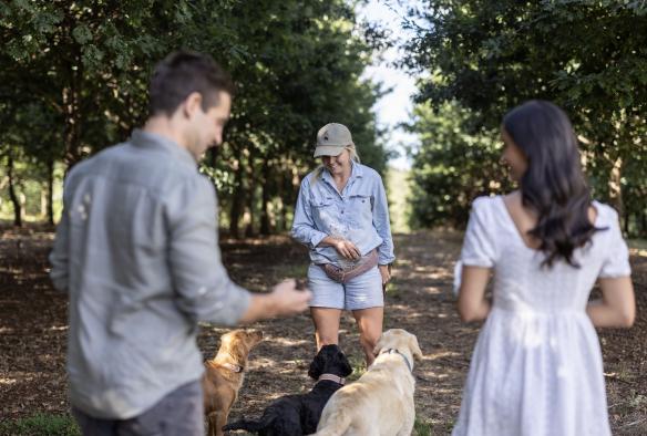 Guests on a truffle hunt with dogs, The Truffle Farm, North West Tasmania, Tasmania © Tourism Australia