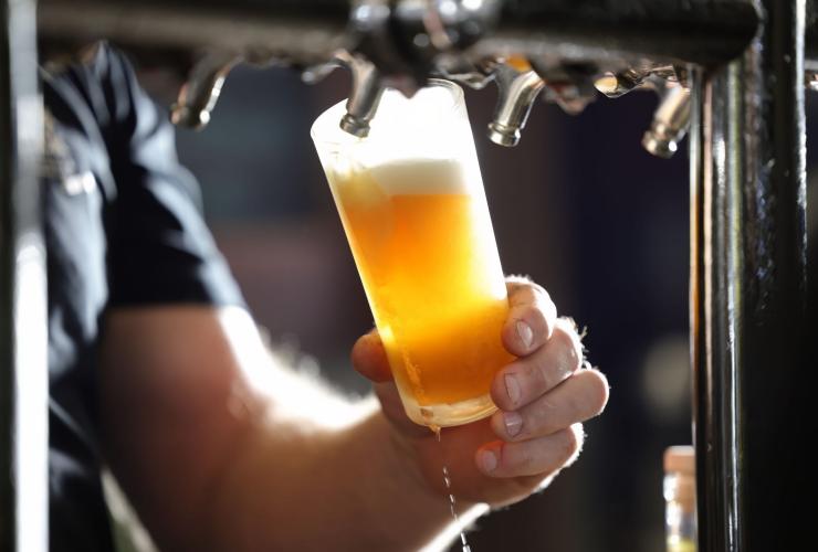 A close up shows a bar tender pulling a small glass of beer from the beer taps at Black Duck Brewery, Barrington Coast, New South Wales © Tourism Australia