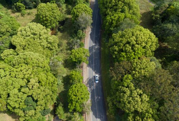 Aerial view of a tour bus on a forested stretch of road, Real Byron Tours, Tweed, New South Wales © Tourism Australia
