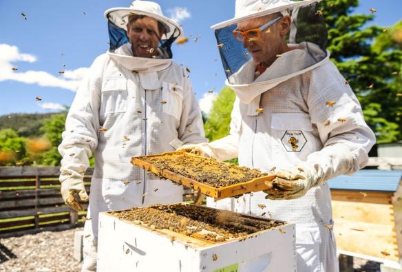 Beekeeper and guest standing over a beehive at Bowral Honey Farm, Southern Highlands, New South Wales © Tourism Australia