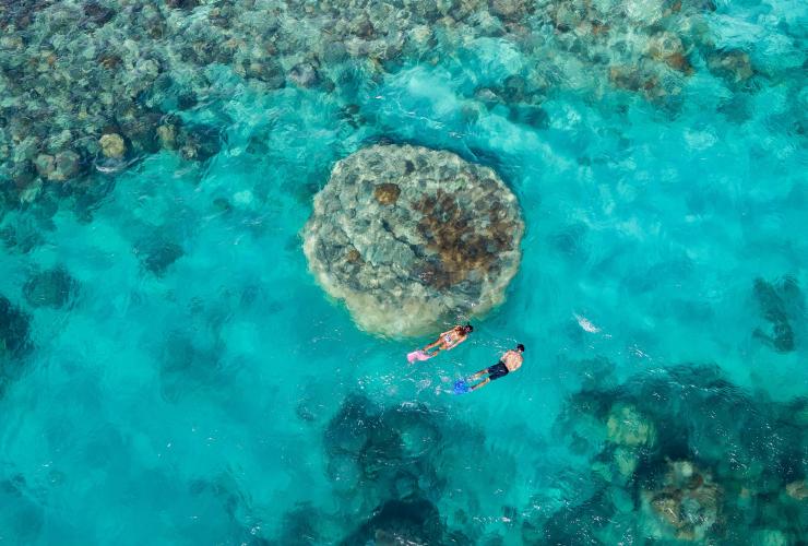 Aerial of two snorkellers swimming above coral in the Whitsundays, Great Barrier Reef, Queensland © Riptide Creative
