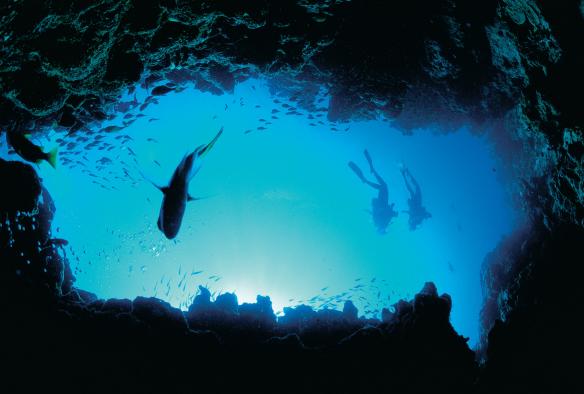 Diving, Ningaloo Reef, Western Australia © Tourism Western Australia