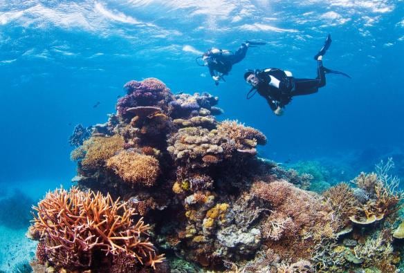 Challenger Bay, Ribbon Reefs, Great Barrier Reef, Queensland © Tourism and Events Queensland