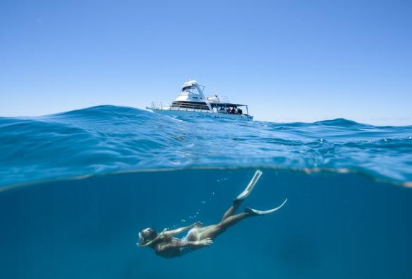 Adrenalin Dive and Snorkel at Lodestone Reef, Great Barrier Reef, QLD © Townsville Enterprise Ltd