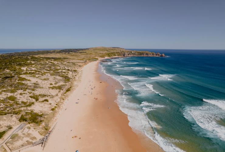 An aerial view of a long stretch of golden beach next to the ocean crashing with white waves at Cape Woolamai, Phillip Island, Victoria © Visit Victoria/ Neisha Breen