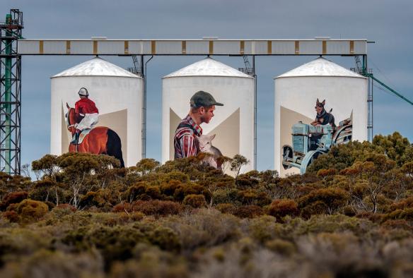 Three white silos painted with a person riding a horse, a farmer holding a lamb and a dog on a tractor along the PUBLIC Silo Trail, Pingrup, Western Australia © Bewley Shaylor 