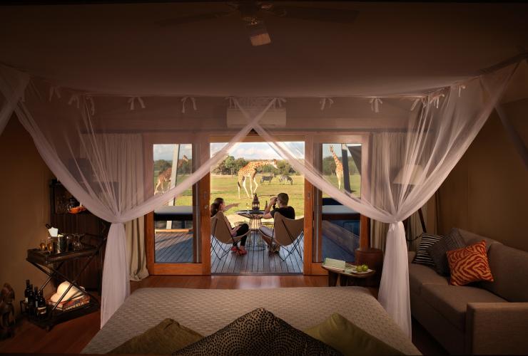 Overlooking a bed inside accommodation at Taronga Western Plains Zoo with a couple sitting on the balcony using binoculars to look at nearby zebras and giraffes, Dubbo, New South Wales © Taronga Western Plains Zoo