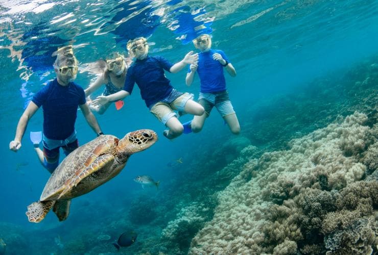 Sunlover Reef Cruises, Cairns, Queensland © Tourism and Events Queensland