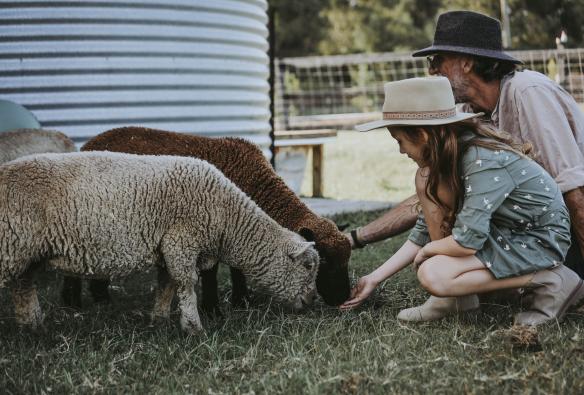 A father and daughter feed sheep at Sixty6 Acres, Sunshine Coast, Queensland © Sixty6 Acres