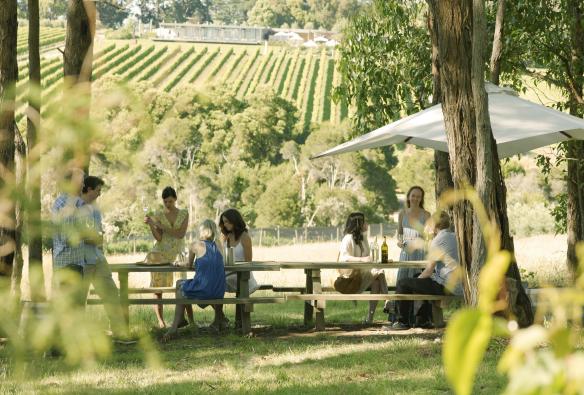 A group of people sipping wine at picnic tables overlooking a vineyard, Montalto Vineyard & Olive Grove, Mornington Peninsula, Victoria © Robyn Lea/Visit Victoria