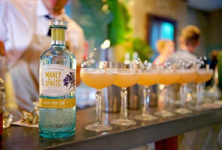 A bottle of coastal citrus gin sitting on a bar beside a row of freshly prepared cocktails at Manly Spirits Co., Manly, New South Wales © Martin Vivian Pearse