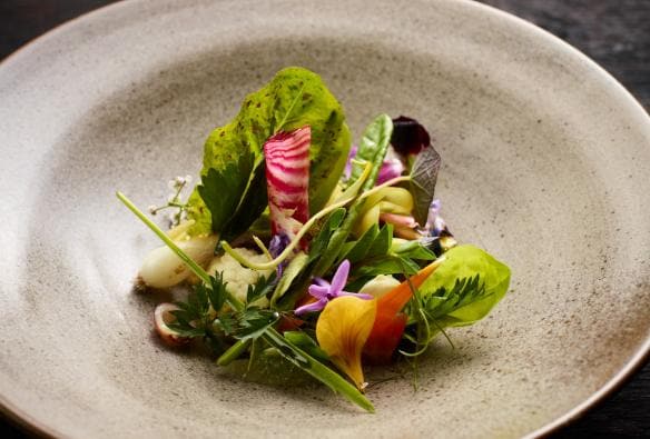 Plated dish of vegetables at Brae, Birregurra, Victoria © Brae