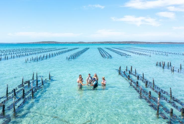 Top down aerial photo of guests wading amongst oyster racks at Experience Coffin Bay, Eyre Peninsula, SA © Tourism Australia