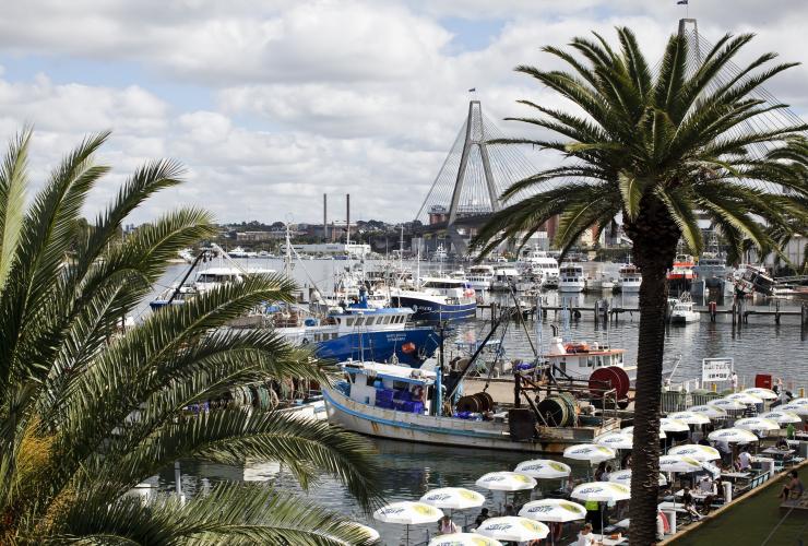 Rows of umbrellas on a pier beside a harbour filled with boats, Sydney Fish Market, Sydney, New South Wales © Destination NSW