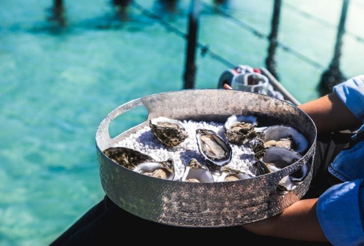 A person sitting beside the ocean holding a tray of oysters on ice, Experience Coffin Bay, Eyre Peninsula, South Australia © South Australian Tourism Commission