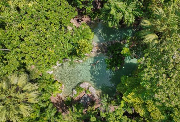 Silky Oaks Lodge, Mossman, Queensland © Tourism and Events Queensland