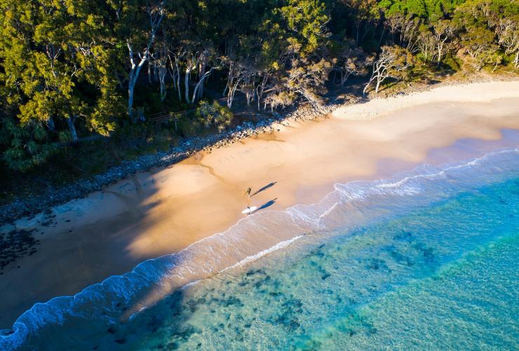 Surfing, Tea Tree Bay, Noosa, Queensland © Dave Wilcock/Tourism and Events Queensland