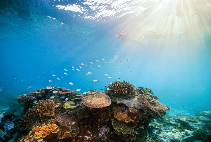 Great Barrier Reef, QLD © Darren Jew