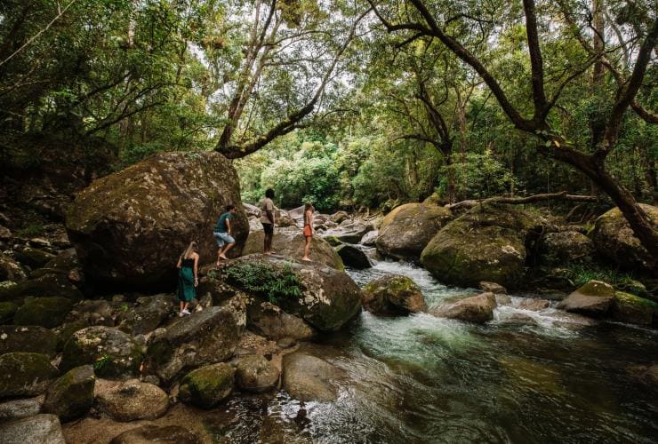 A group of people walking over large boulders in a rainforest beside a river during a tour with Mossman Gorge Centre, Daintree Rainforest, Queensland © Tourism and Events Queensland