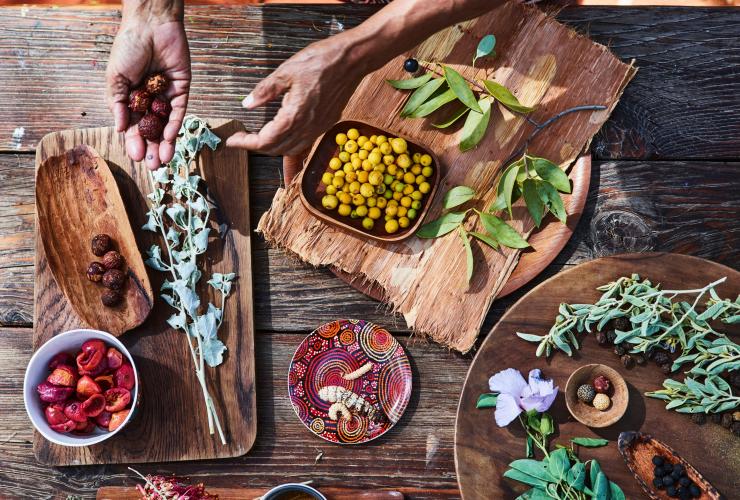 Aerial view over a table set with native bush foods during Bush Tucker Journey, Yulara, Northern Territory © Voyages