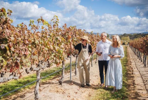 Couple walking through the vineyards and tasting the local wine at Tobin Wines, Ballandean, Queensland © Tourism and Events Queensland