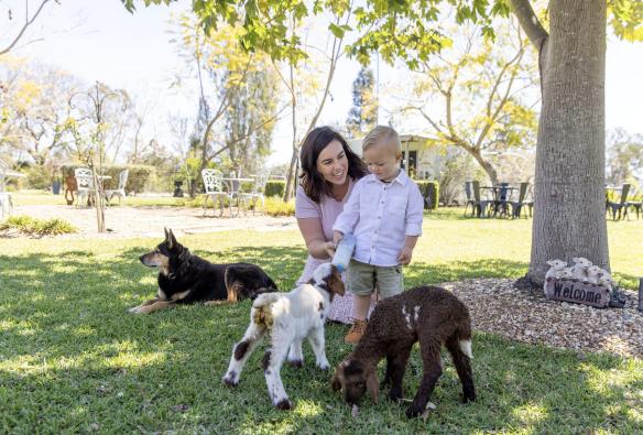 Mother and young boy feeding lambs, Towri Sheep Cheeses, Allenview, Queensland © Tourism Australia