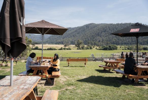 Outdoor picnic tables at Pyengana Dairy Company, Pyengana, Tasmania © Tourism Australia