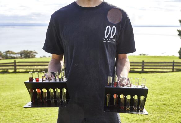 A winery worker holds two trays of wine samples, presented in a unique test tube format, Jack Rabbit winery, Geelong and the Bellarine, Victoria © Tourism Australia