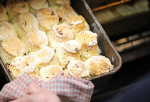 A close up shows a hand, using a tea towel to extract a freshly baked, full tray of golden sultana scones from the oven, Ricardoes Tomatoes & Strawberries, Barrington Coast, New South Wales © Tourism Australia