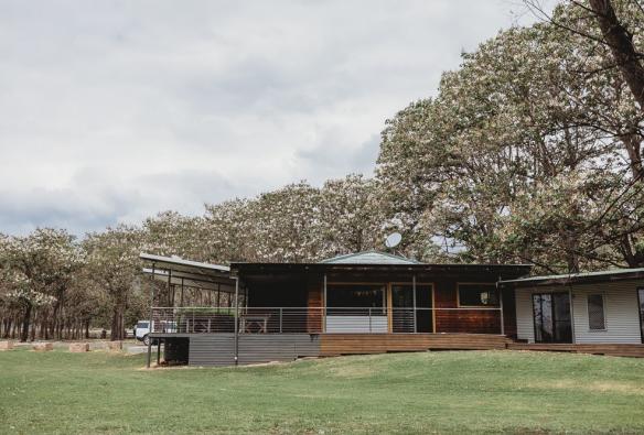 Sitting beneath tall, flowering trees sits a lowset wood cabin with a wrap-around balcony. The balcony overlooks green grass and the rolling landscape on offer at The Orchard Lodge, Barrington Coast, New South Wales © The Orchard Lodge