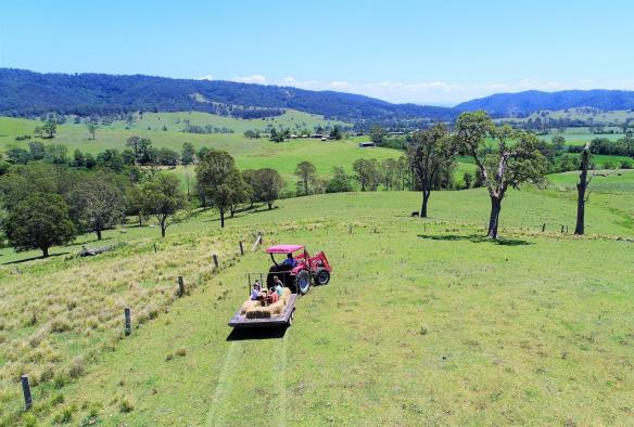 Aerial, Essentially Barrington Farmgate Tours, Barrington Coast, New South Wales © Craig Mason