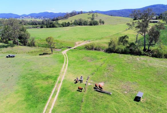 Aerial of animals, Essentially Barrington Farmgate Tours, Barrington Coast, New South Wales © Craig Mason