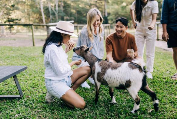 Friends meeting the farm animals at the Fauna Park within Tropical Fruit World, Duranbah, New South Wales © Destination NSW