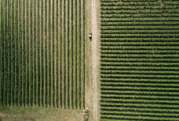 Aerial of vines in Orange, New South Wales © Tourism Australia