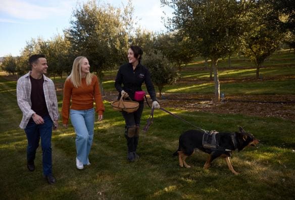 Couple walking outside with a tour guide, Red Ground Truffles, Oberon, New South Wales © Destination NSW