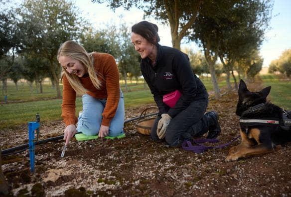 Woman digging into the ground looking for truffles, next to her is a tour guide, Red Ground Truffles, Oberon, New South Wales © Destination NSW