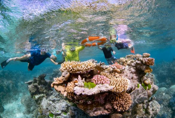 Dreamtime Dive and Snorkel, Cairns, Queensland © Tourism and Events Queensland