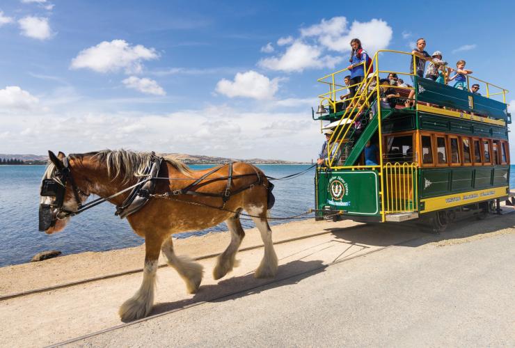 A horse-drawn tram carriage being pulled along The Causeway, Victor Harbor, South Australia © Ben Goode