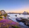 Jacarandas and Sydney Harbour at sunset, Sydney, NSW © Destination NSW