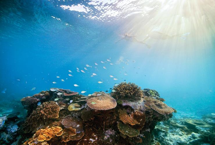 Great Barrier Reef, QLD © Darren Jew