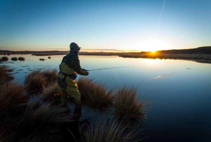 A person fly fishing from shore during sunrise, Fly Fishing, Thousand Lakes Lodge, Tasmania © Brad Harris