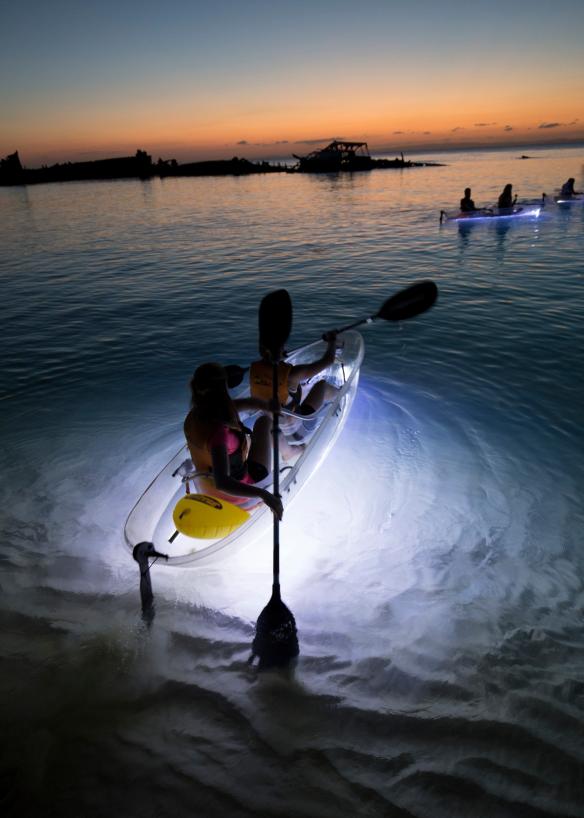 Sunset Safaris, Moreton Island, Queensland © Sunset Safaris