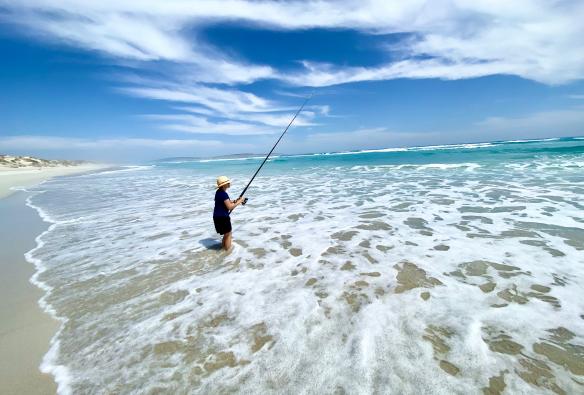 Australian Coastal Safaris, Port Lincoln, SA © Australian Coastal Safaris