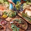 Native ingredients on a table at Ayers Rock Resort © Voyages